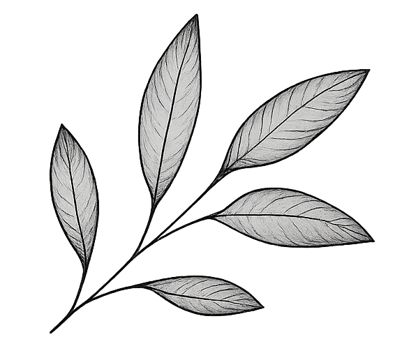 feuille