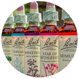 Fleurs de bach